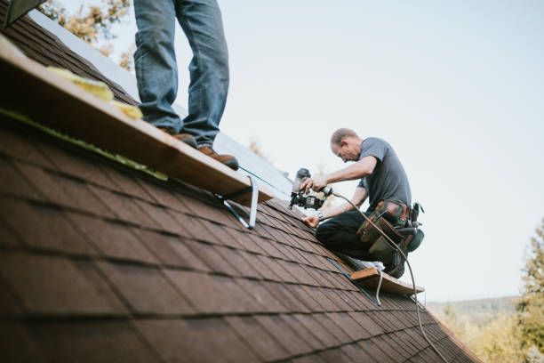 Roof Waterproofing Services